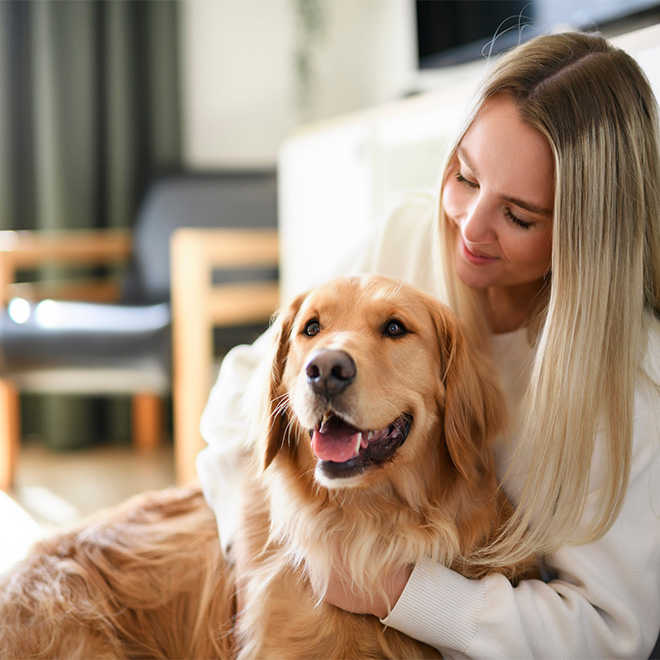 Pet Friendly